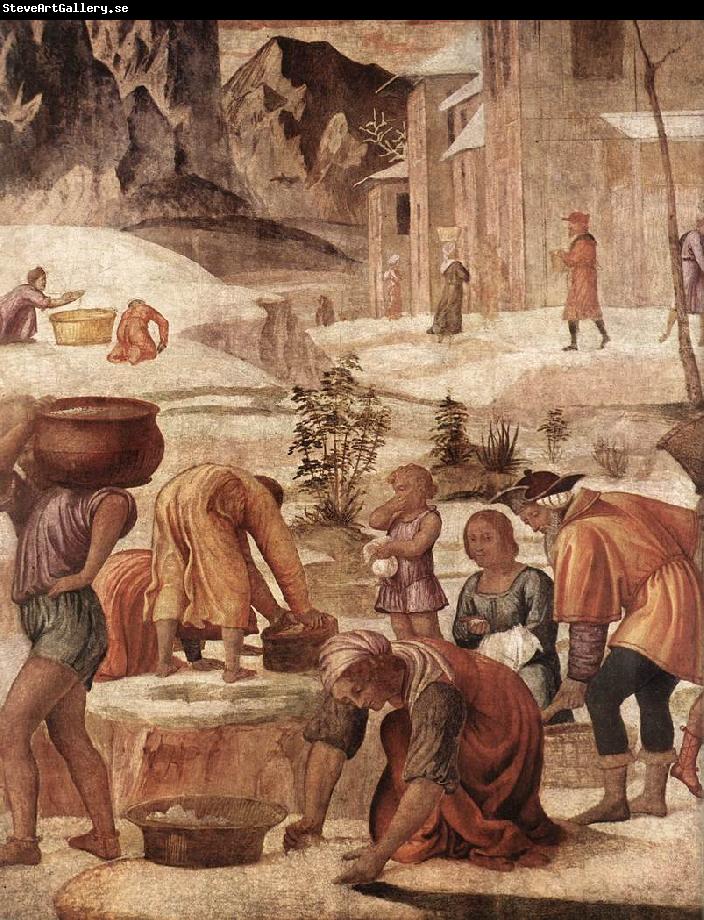 LUINI, Bernardino The Gathering of the Manna s